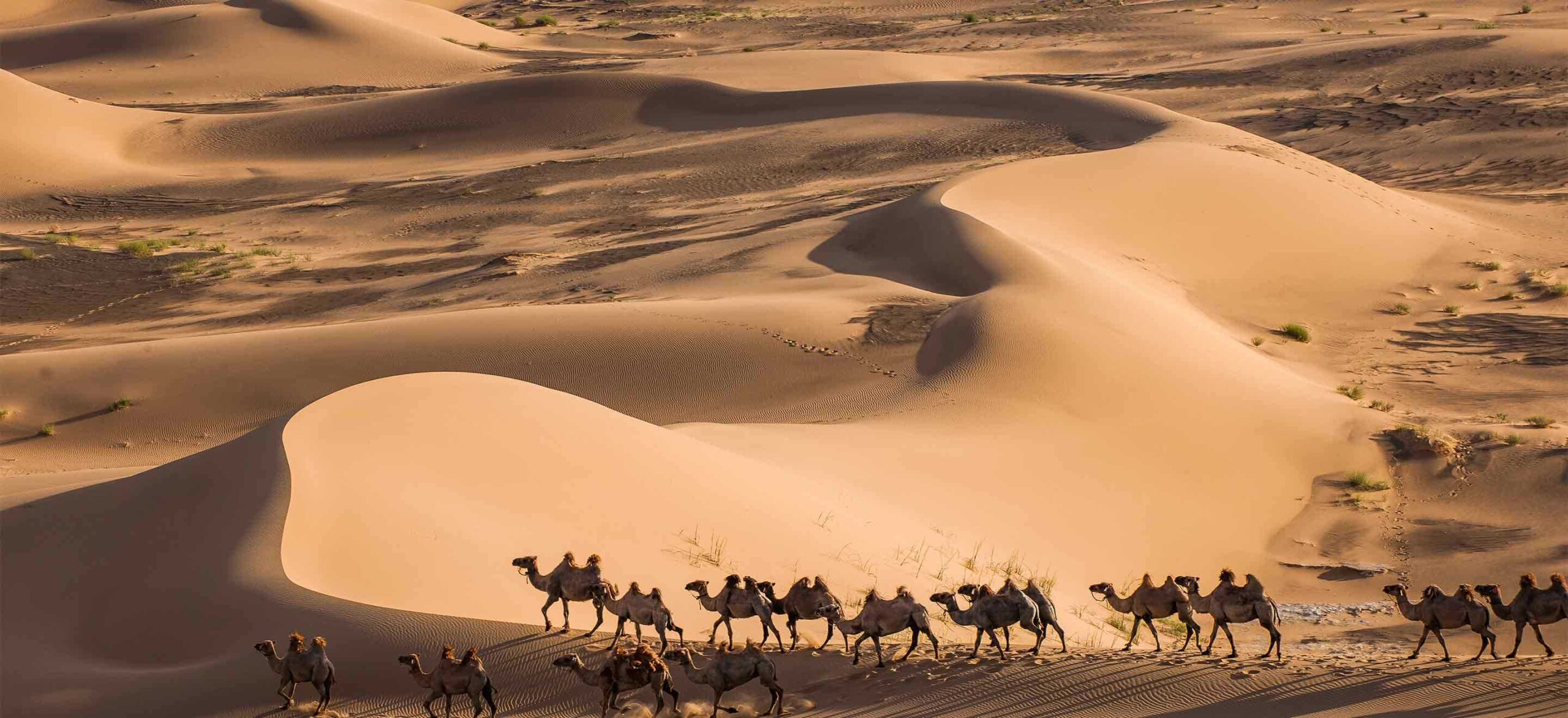 CENTRAL MONGOLIAN WONDERS